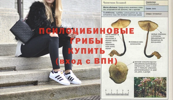 спайс Володарск