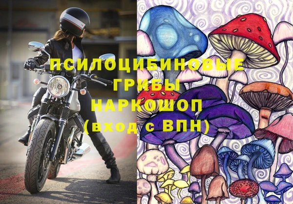 хмурый Волоколамск