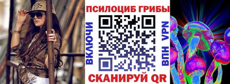 дарнет шоп  Мариинск  Галлюциногенные грибы мухоморы 