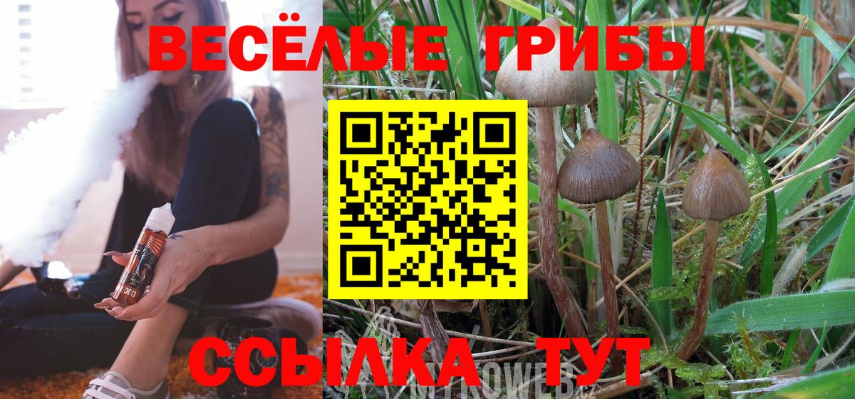 Галлюциногенные грибы ЛСД Мариинск