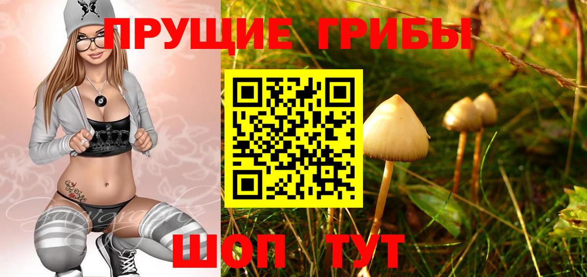 Мариинск  Псилоцибиновые грибы Psilocybine cubensis  Вход с VPN  Псилоцибиновые грибы Psilocybe 