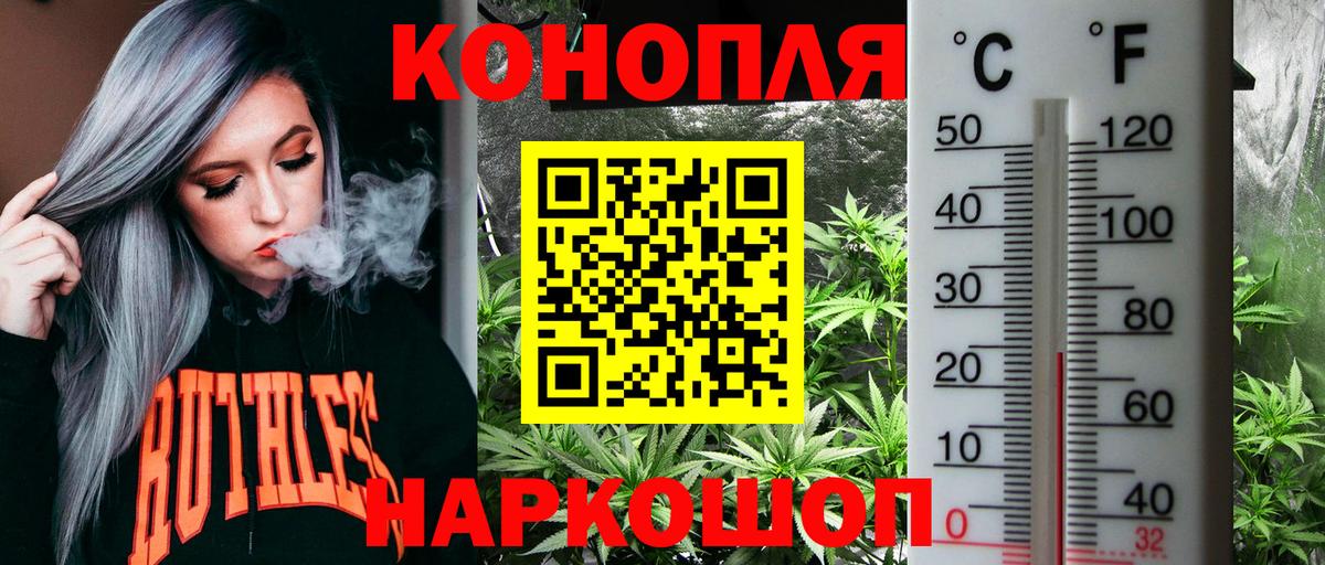 Шишки марихуана сатива  Бошки марихуана White Widow  Конопля гибрид  МАРИХУАНА планчик  Вход с VPN  Мариинск 